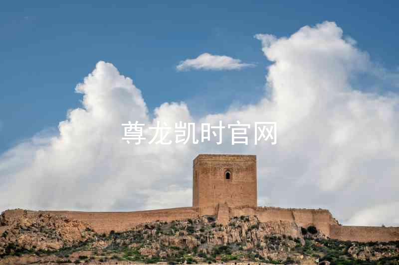 尊龙凯时官网